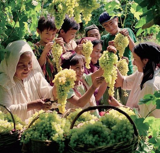 吐鲁番最有名的景点葡萄沟