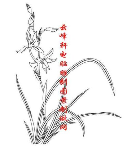 首页 国画白描画线描图系列 梅兰竹菊白描图,梅兰竹菊线描