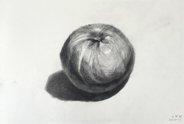 素描静物#     单体橘子
