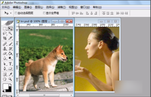 ps中仿制图章工具不能用了怎么回事?