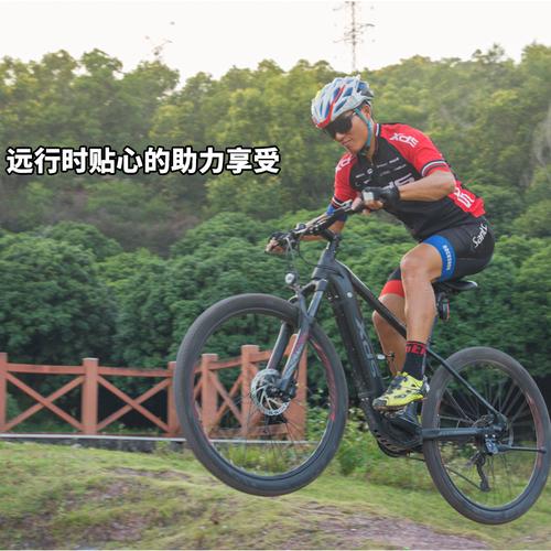 2021款喜德盛中置电机助力电动车锂电池领先600pro