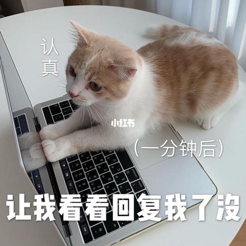 终归是我错付了01_表情包_宝宝表情包_素材_表情包
