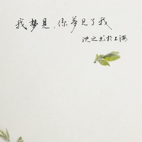 "我梦见,你梦见了我"