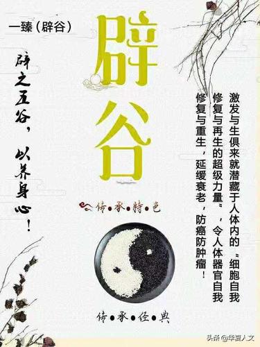 一臻辟谷养生修身更修心