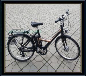 捷安特电动车锂电