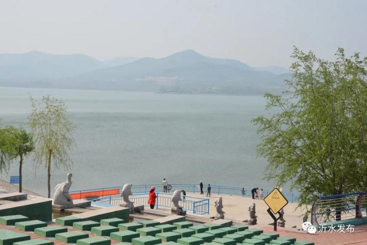 重要!沂水县长调研跋山水库除险加固!