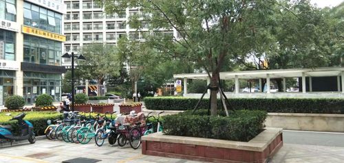 融创奥城天玺,凌宾路-天津融创奥城天玺二手房,租房