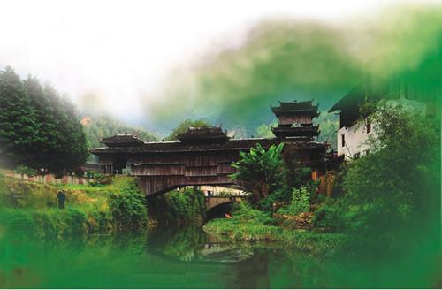 庆元:寻梦菇乡 养生庆元