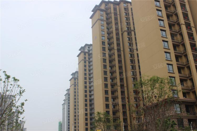 驻马店遂平建业森林半岛-实景图(36) - 驻马店安居客