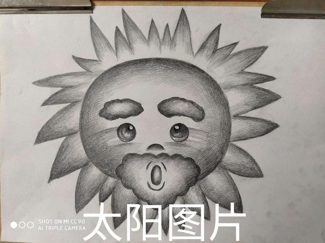 创意素描——太阳花