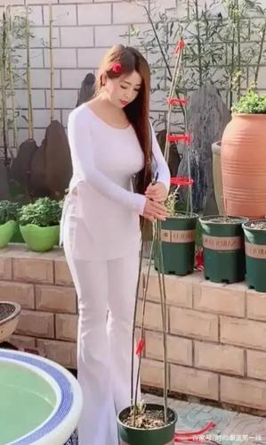丰润凹凸的阔腿裤美女,种树的姿势都如此优雅,学不会!