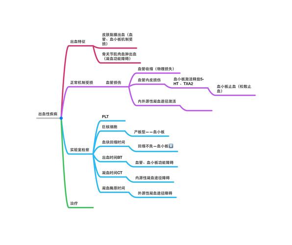 思维导图