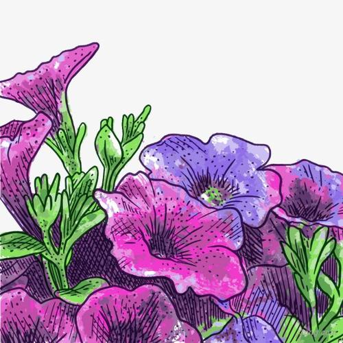 标签:牵牛牵牛花丛牵牛花花朵夕颜紫色牵牛花紫色喇叭花喇叭花牵牛花