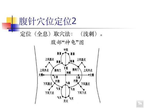 副主任委员12:09 03/11/2017广东省针灸学会减肥及内分泌专业委员会
