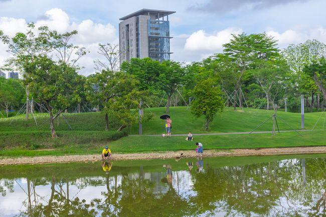 实拍深圳香蜜公园绝对是目前深圳1206个公园里最美的生态公园