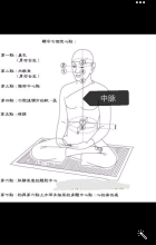 中脉示意图