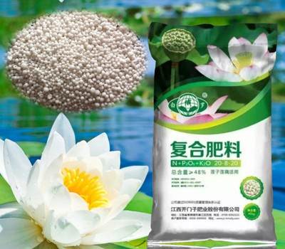 48%(20-8-20)白俄罗莲子专用肥50kg/袋—江西赣州复合肥