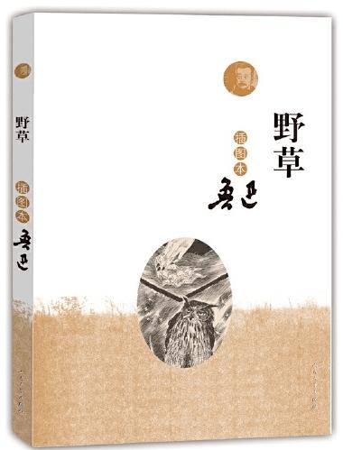 语文老师应该怎么读鲁迅的作品?温儒敏讲座实录来了,干货满满!