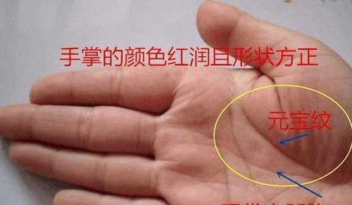 不是富太太就是少奶奶命此手相之人注定钱财无忧大富大贵