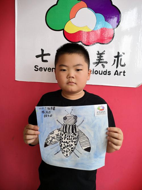 七彩云暑假班《线描苍蝇》