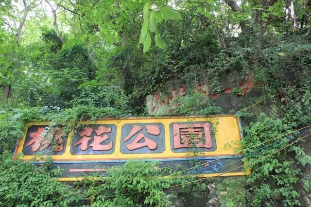 遇见| 六枝 桃花公园