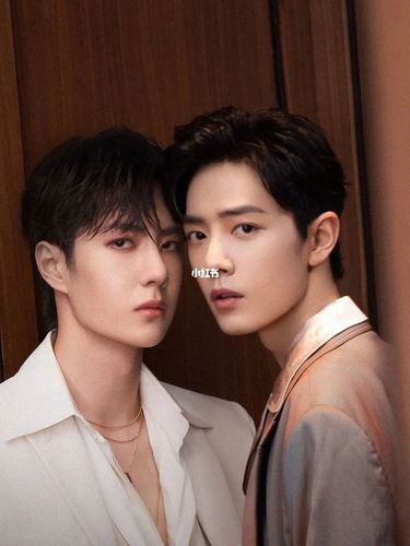 肖战 王一博_王一博_肖战_博君一肖_博君一肖周边_娱乐_明星娱乐资讯