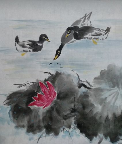 河鸭戏水