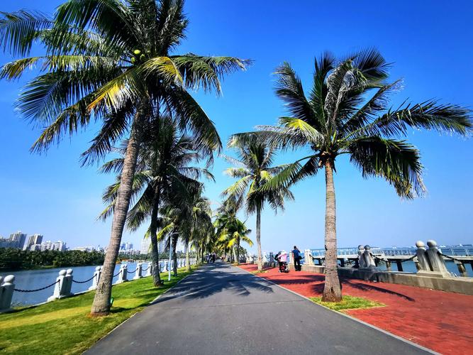 湛江风景