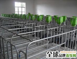 母猪限位栏
