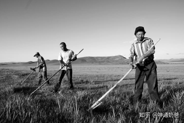 妈妈教育孩子:不好好学习,将来就只能回家种地,当农民