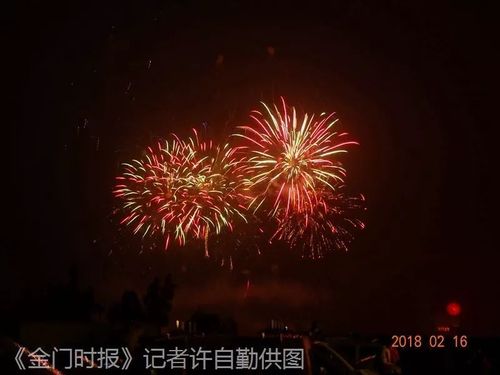 花型各异的组合图案 烟花的美姿在夜空中一览无遗 今天天空也被绚丽的