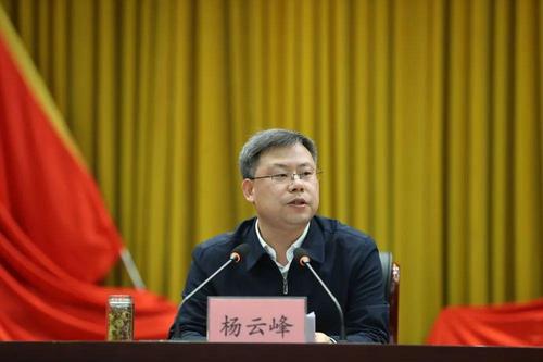 县委副书记,县长杨云峰发表热情洋溢的讲话