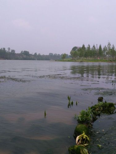 美丽的沙颍河国家湿地公园 太和美