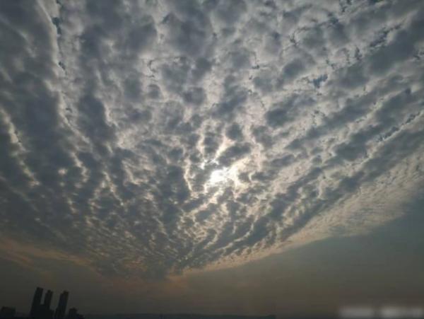 未解之谜!汶川地震前出现的几大怪异现象,科学家至今解释不清