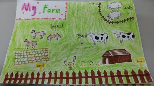 小学农场手抄报英语怎么说