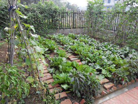 毛家峪聚祥缘农家院