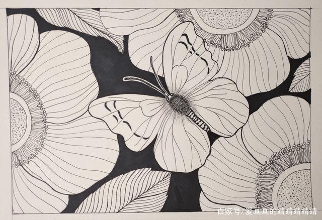 最后画花蕊里层,刻画蝴蝶翅膀根部小细节,今天的蝴蝶与花的黑白线描