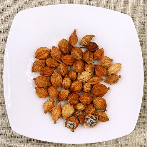砂仁川沙学名艳山姜卤料香料卤菜调料调味品