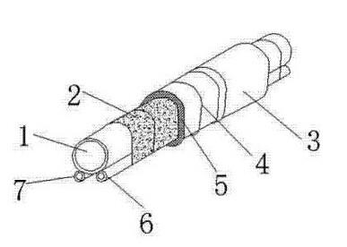 一种直管带双伴热管的保温结构专利转让