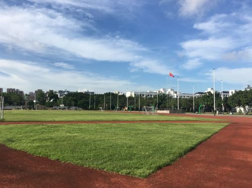 深圳市光明新区高级中学招聘初高中各科临聘教师公告