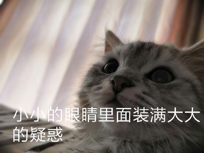 小小的眼睛里面,装满大大的疑惑