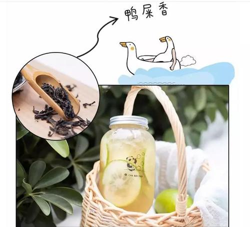 什么是鸭屎香奶茶茶百道等后期是否能成为爆品