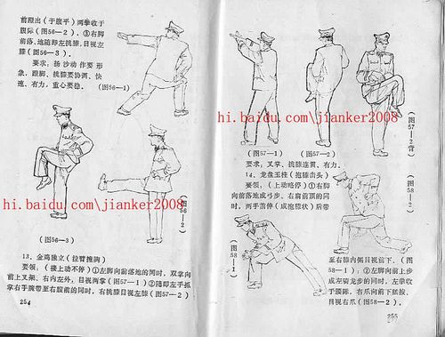 黑龙十八手(图解)