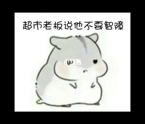 发现一组hamham仓鼠萌萌的表情包 是不是心都化了?