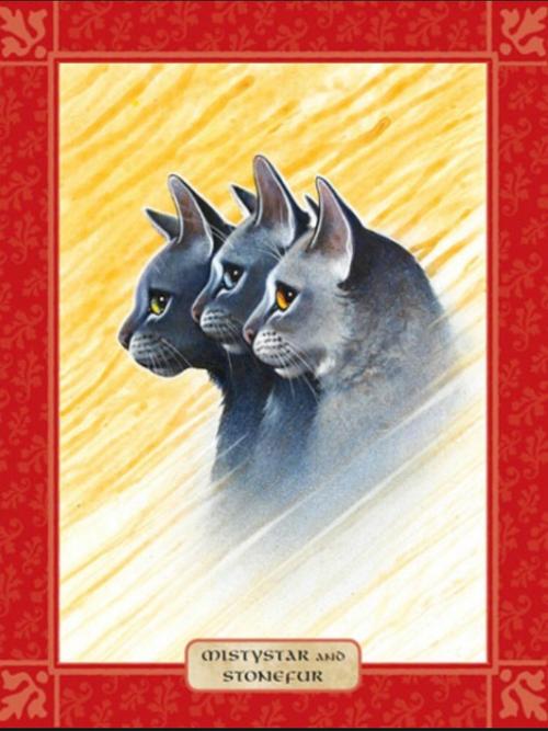 猫武士雾星石毛灰池