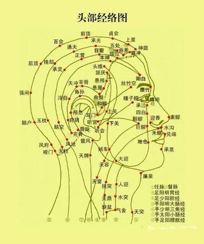 耳朵也能灸?是的,作用赶上做一次全身经络按摩