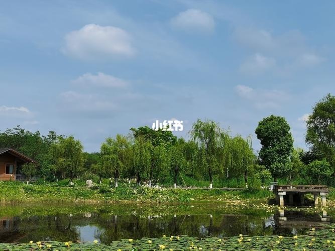 成都周边|青龙湖湿地公园_湿地公园_青龙湖湿地公园_风景_出行_人文