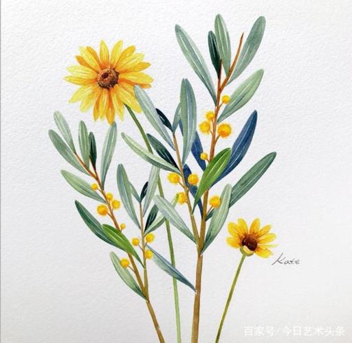 艺术家凯特清新淡雅的水彩画