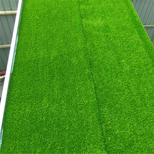 仿真草坪垫子假草绿色防真草皮地毯草垂直绿化墙壁形象背景植物