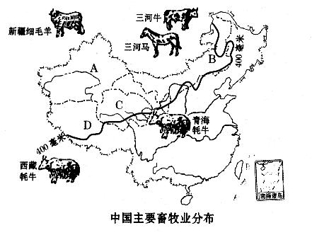 四大牧区: (1)分布:a
